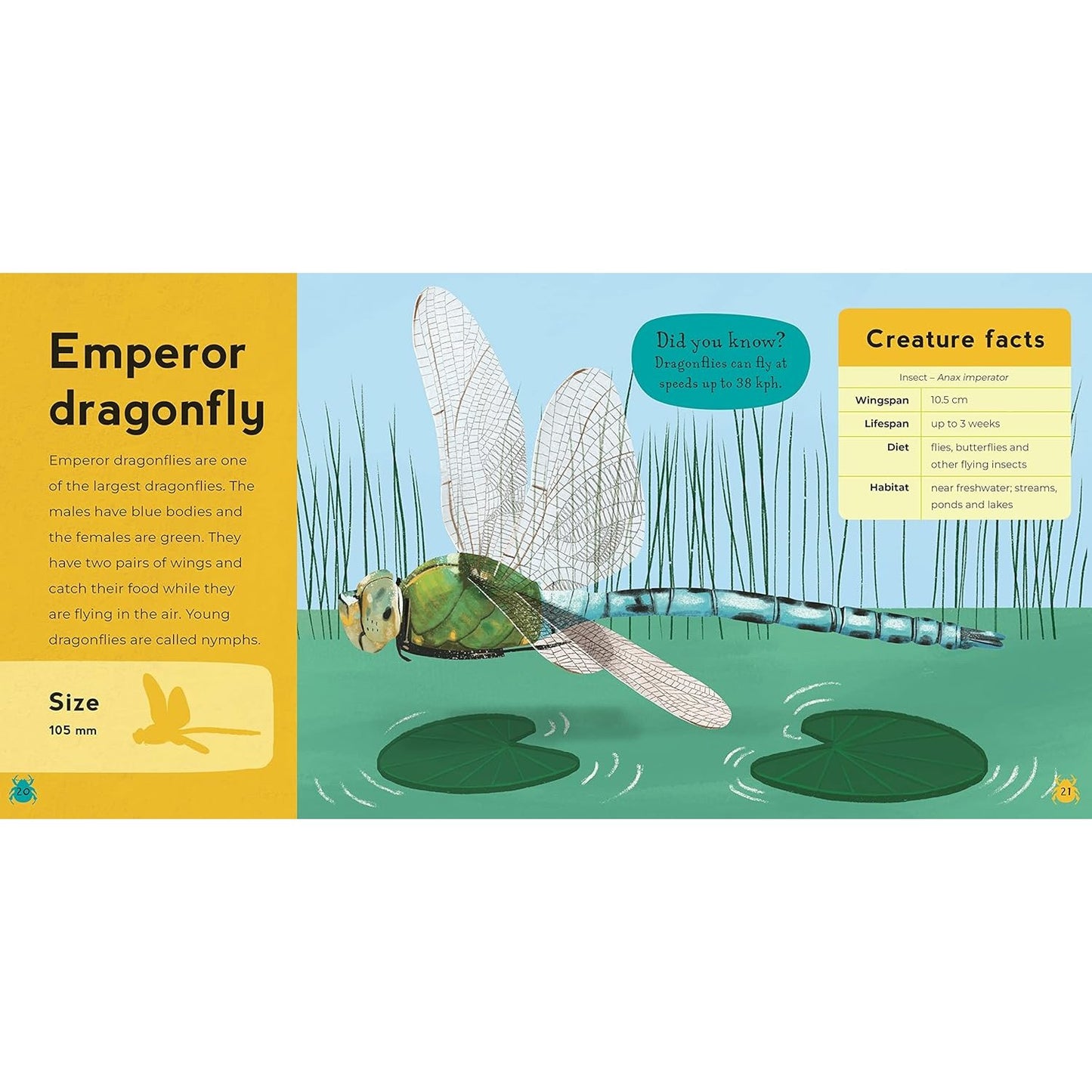 My First Book of Minibeasts | Paperback | Children's Book on Nature