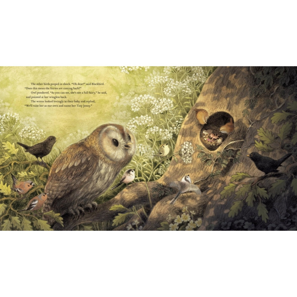 Sample pages (2) from 'Tiny Jenny: Little Fairy, Big Trouble' by Briony May Smith - preschool paperback