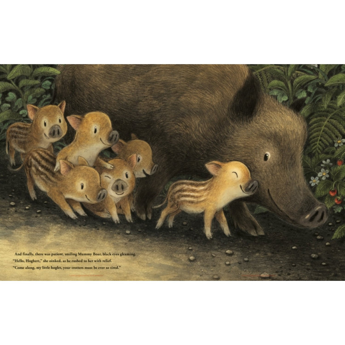 Sample pages (4) from 'Hogbert' by Briony May Smith - preschool paperback