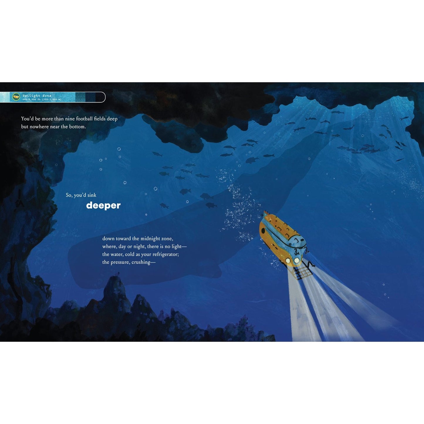 If You Went to the Bottom of the Ocean | Hardcover | Children's Book on Ocean Animals