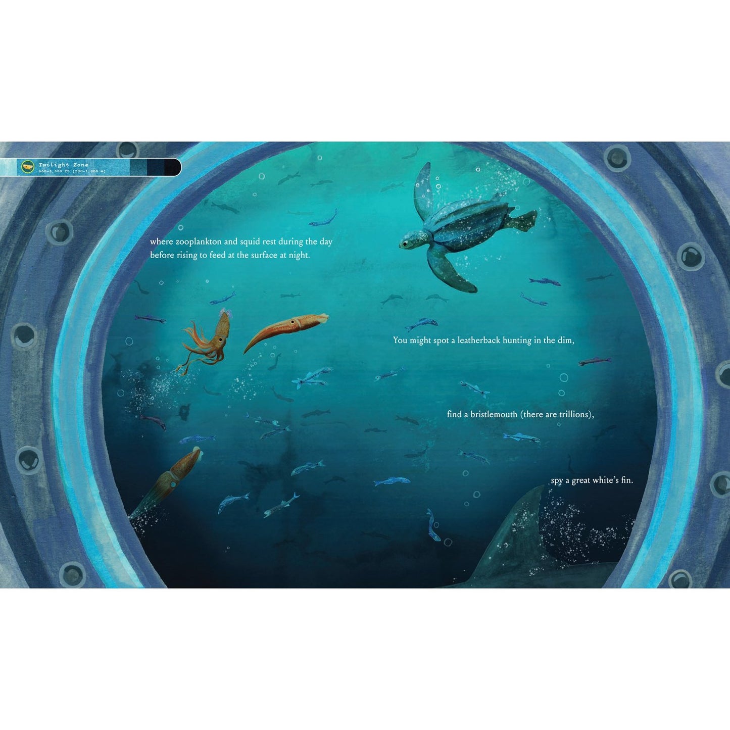 If You Went to the Bottom of the Ocean | Hardcover | Children's Book on Ocean Animals