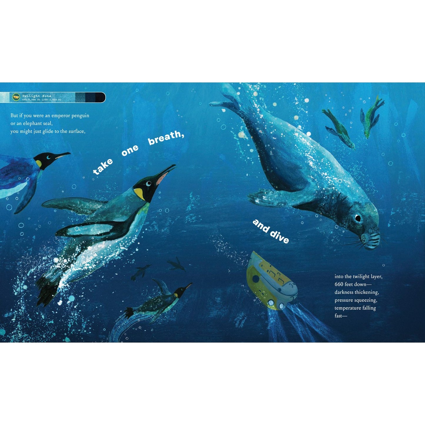 If You Went to the Bottom of the Ocean | Hardcover | Children's Book on Ocean Animals