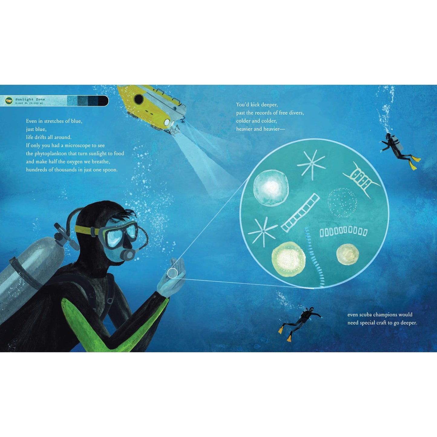 If You Went to the Bottom of the Ocean | Hardcover | Children's Book on Ocean Animals