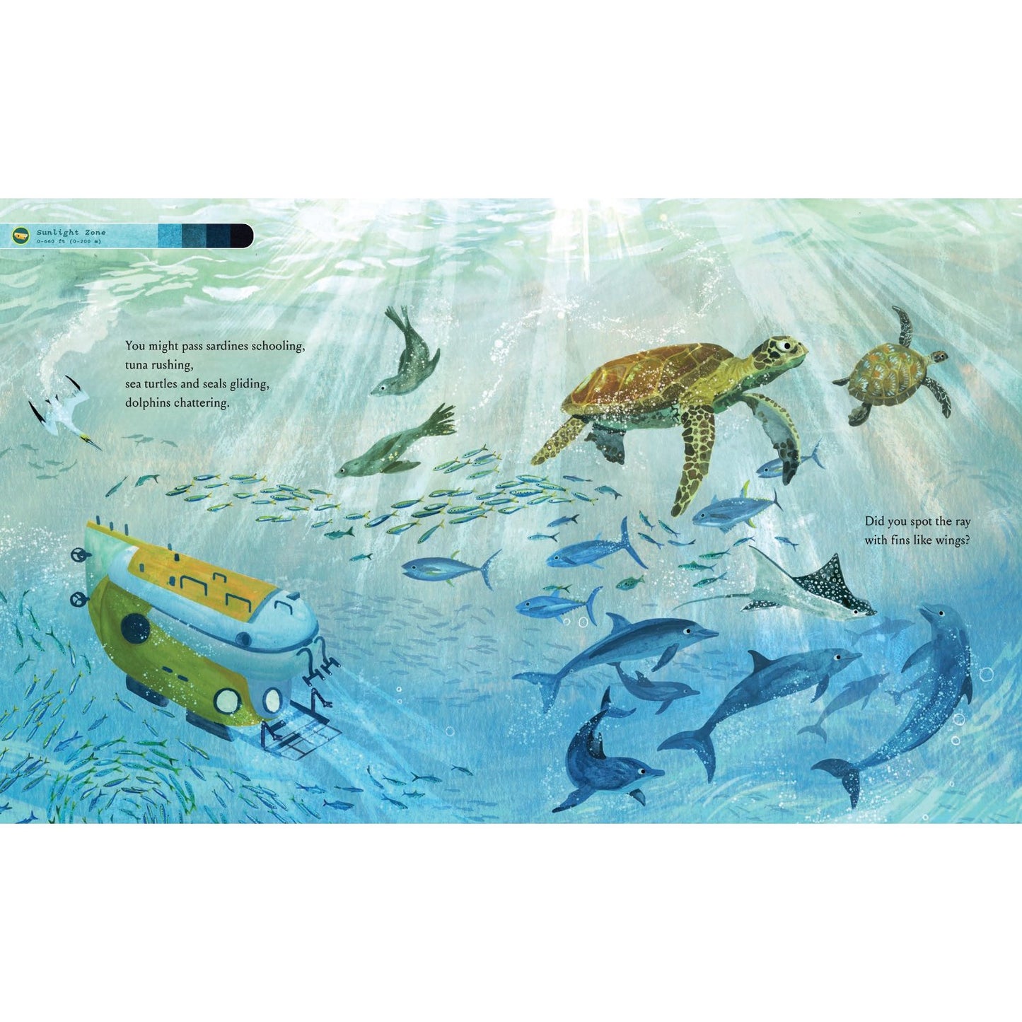 If You Went to the Bottom of the Ocean | Hardcover | Children's Book on Ocean Animals