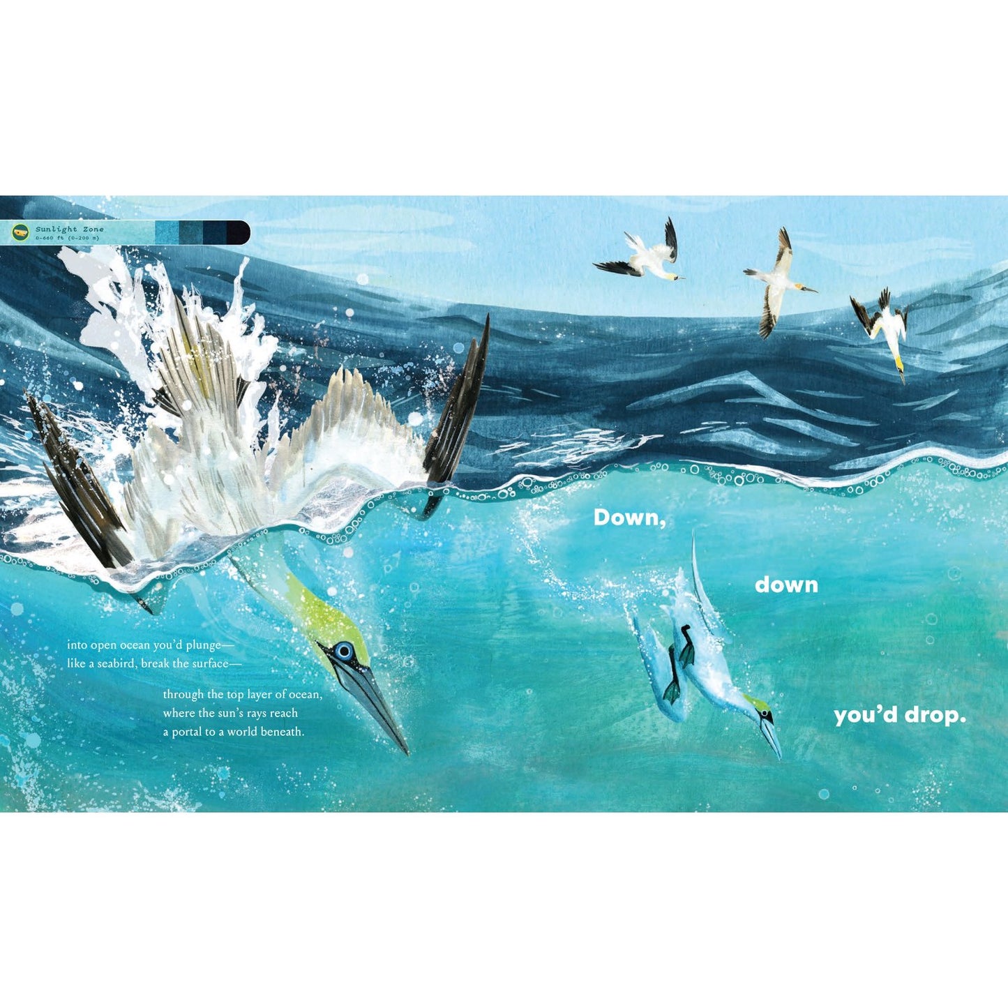 If You Went to the Bottom of the Ocean | Hardcover | Children's Book on Ocean Animals