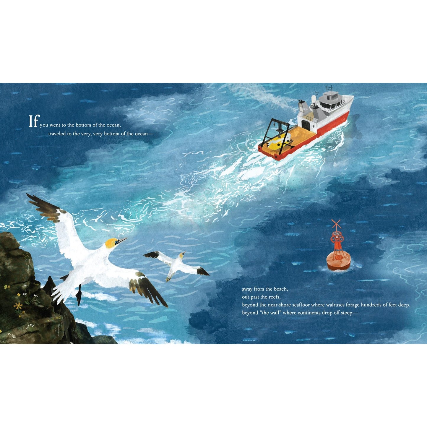 If You Went to the Bottom of the Ocean | Hardcover | Children's Book on Ocean Animals