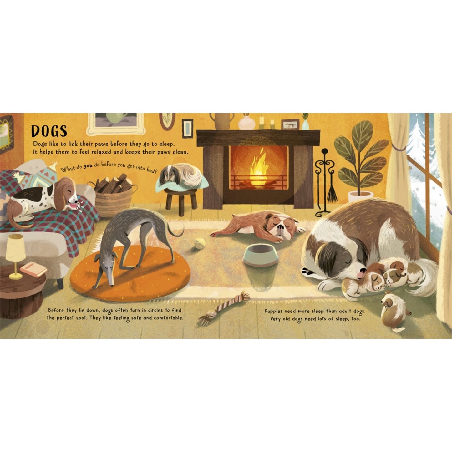Time for Bed, Animals | Paperback | Children's Bedtime & Calming Stories