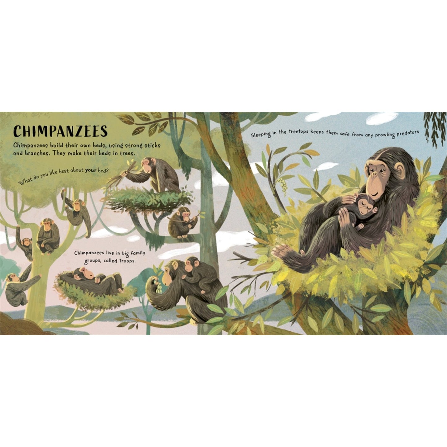 Time for Bed, Animals | Paperback | Children's Bedtime & Calming Stories
