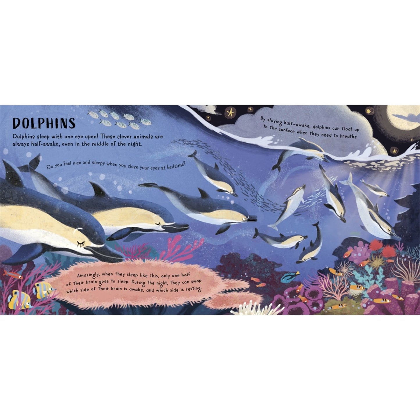 Time for Bed, Animals | Paperback | Children's Bedtime & Calming Stories