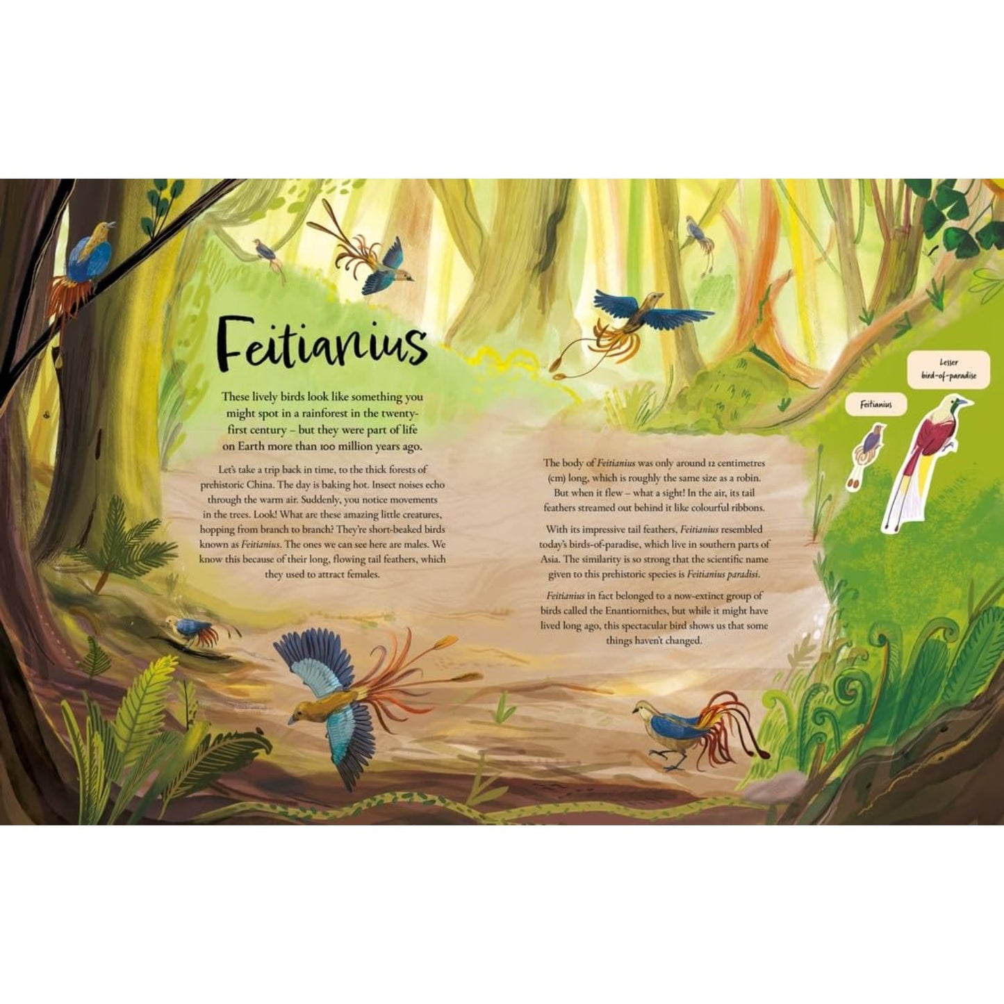 Chickens and Other Dinosaurs - How Dinosaurs Became the Birds We Know Today | Hardcover | Children's Book on Dinsaurs