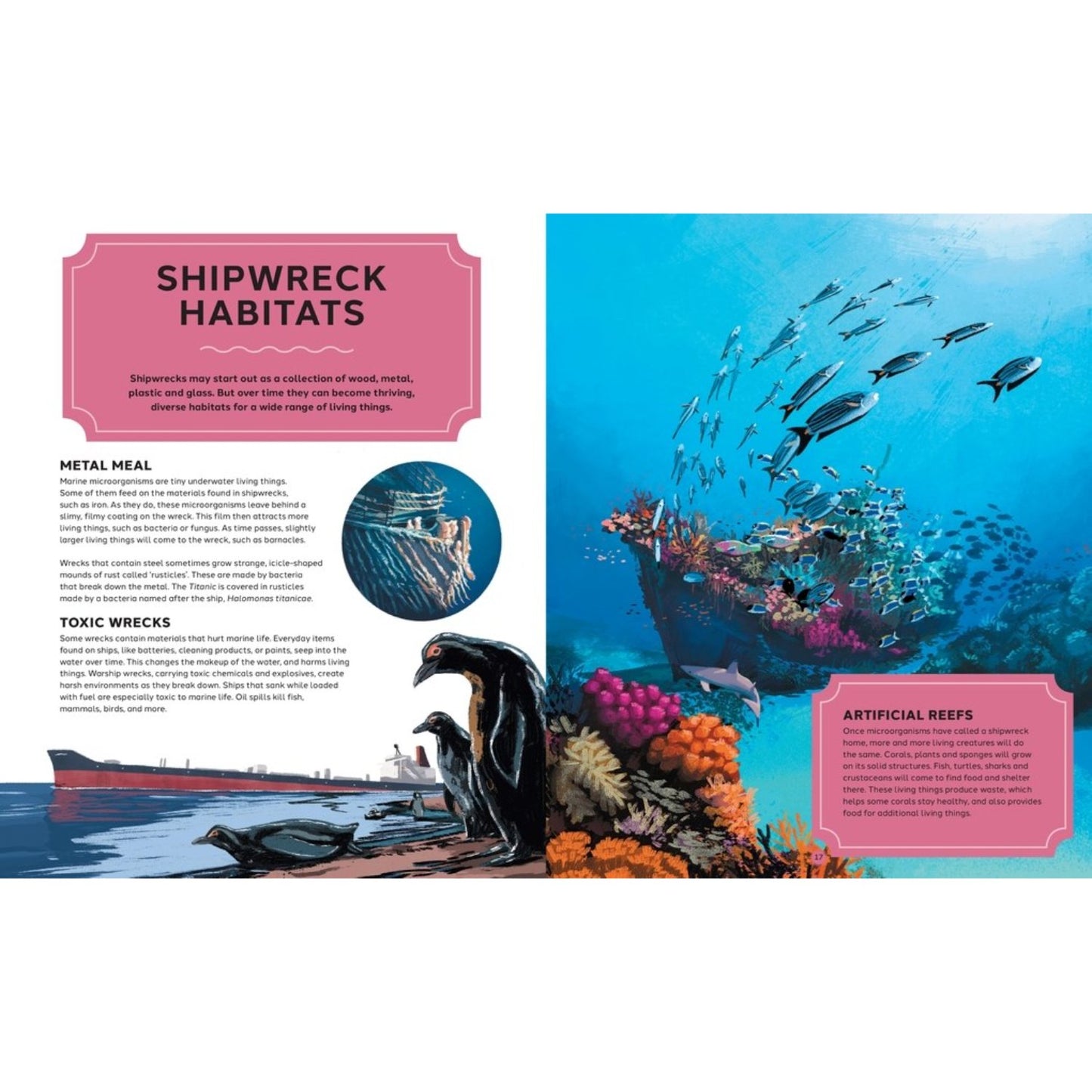 Wrecked - A Deep Dive into the World's Most Famous Shipwrecks | Paperback | Children's Book on History