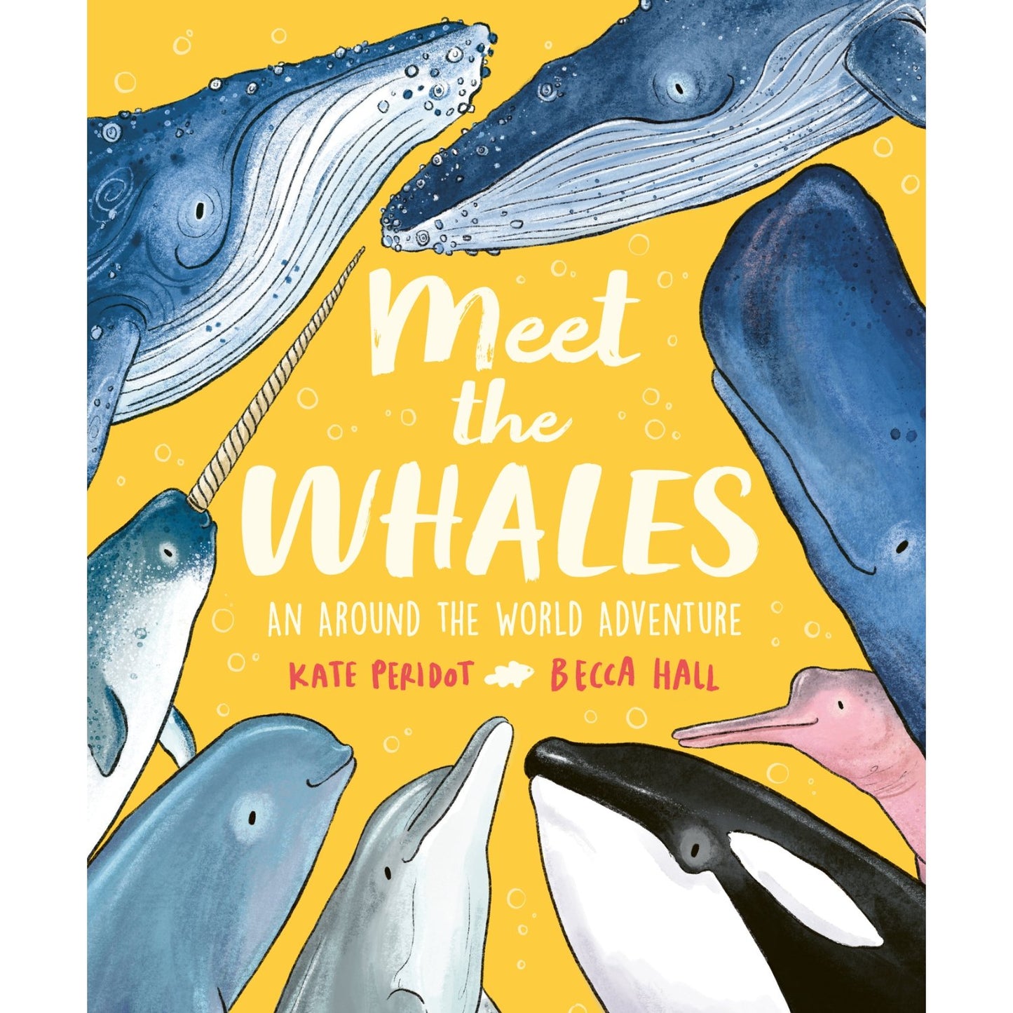 Meet the Whales | Paperback | Children's Book on Ocean Animal