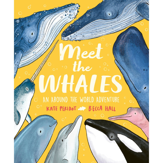 Meet the Whales | Paperback | Children's Book on Ocean Animal