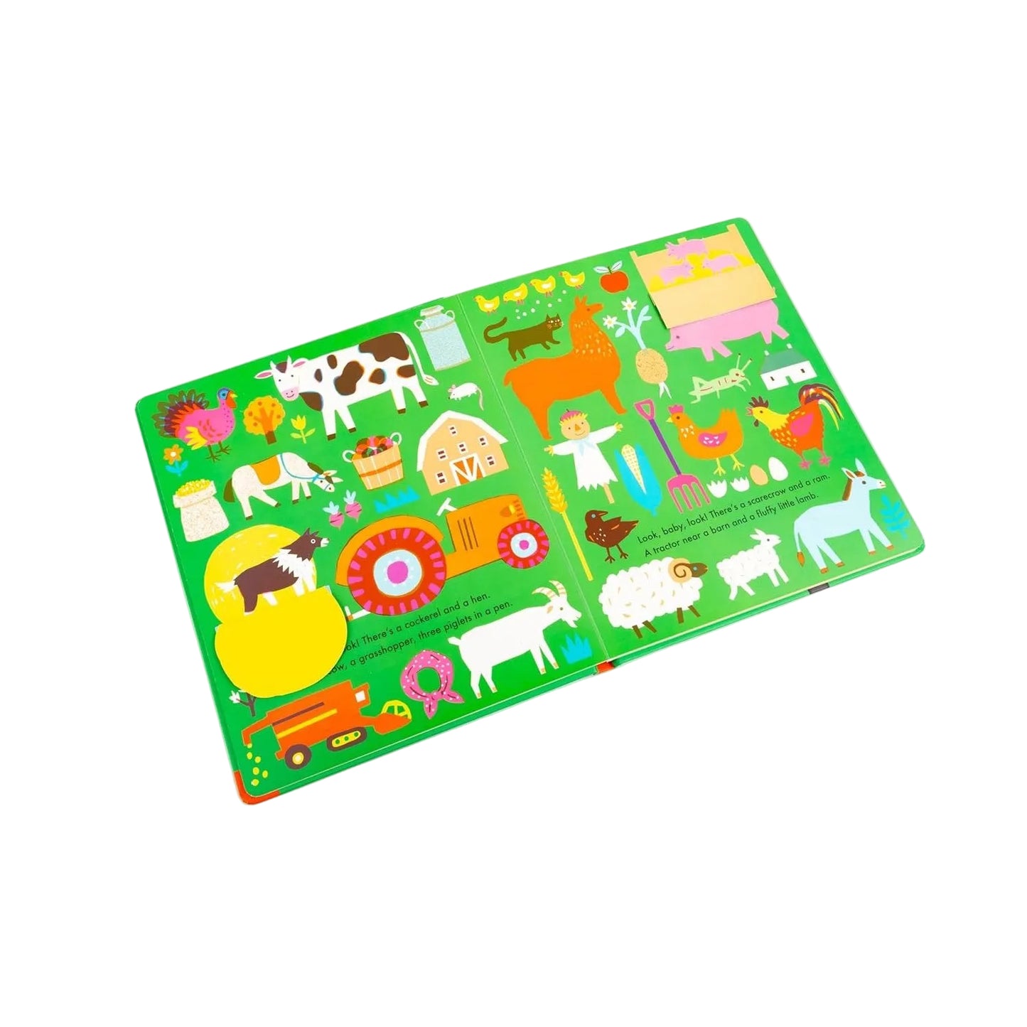 Look, Baby, Look! Outside | Children's Early Learning Board Book