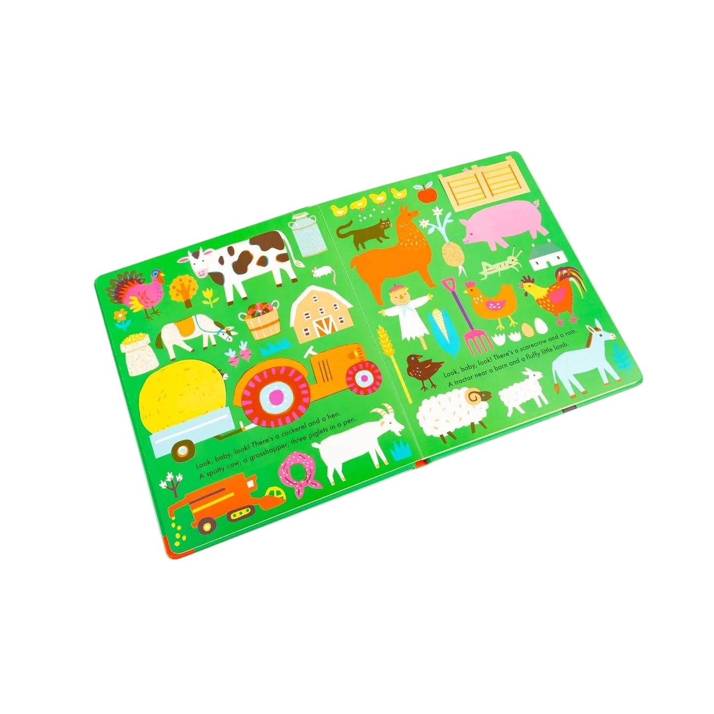 Look, Baby, Look! Outside | Children's Early Learning Board Book