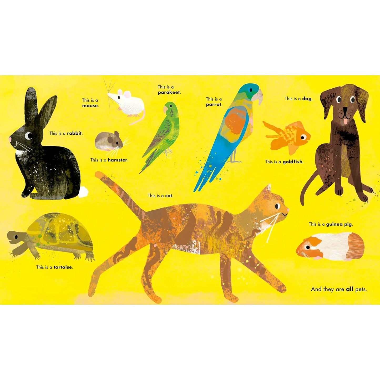 All Kinds of Things | Board Book | Children's Early Learning Book