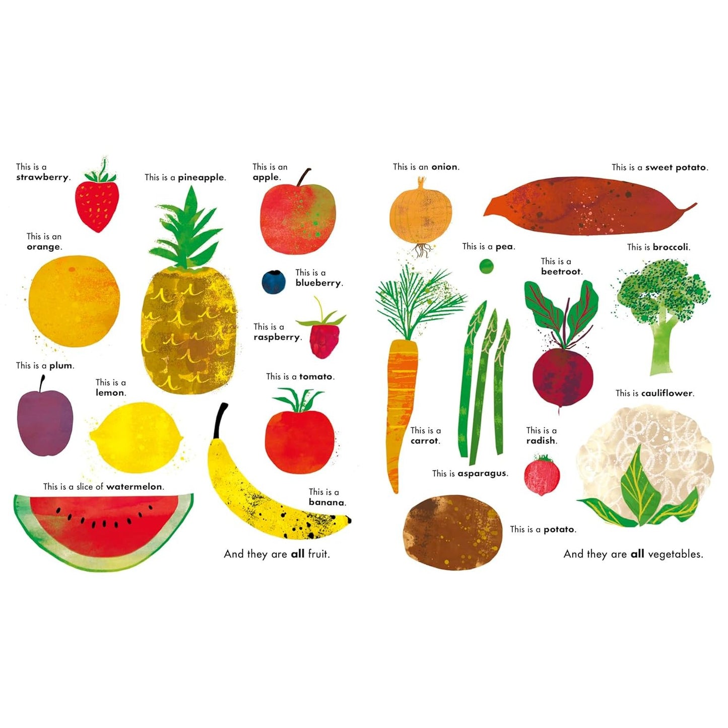 All Kinds of Things | Board Book | Children's Early Learning Book