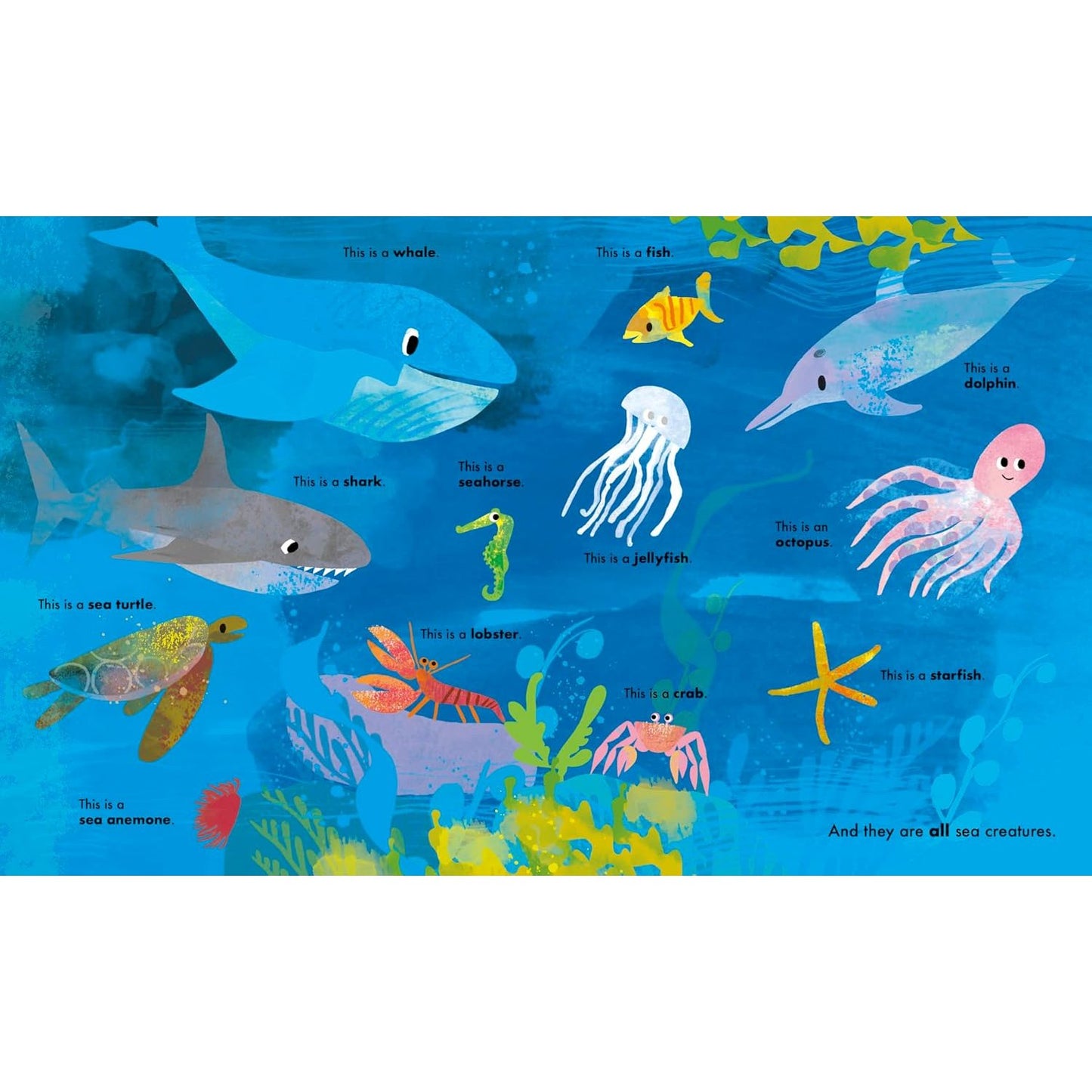 All Kinds of Things | Board Book | Children's Early Learning Book