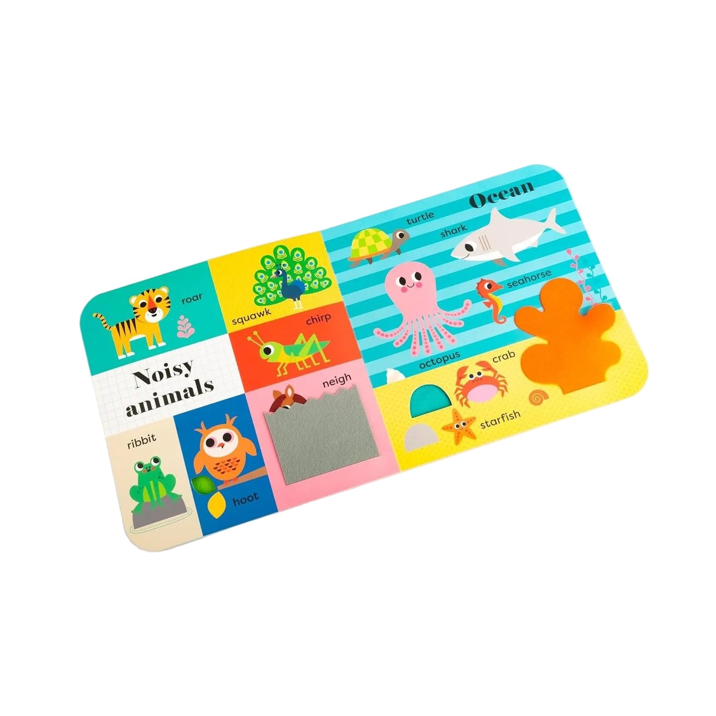 My BIG Playbook: Animals | Board Book | Children's Early Learning Book