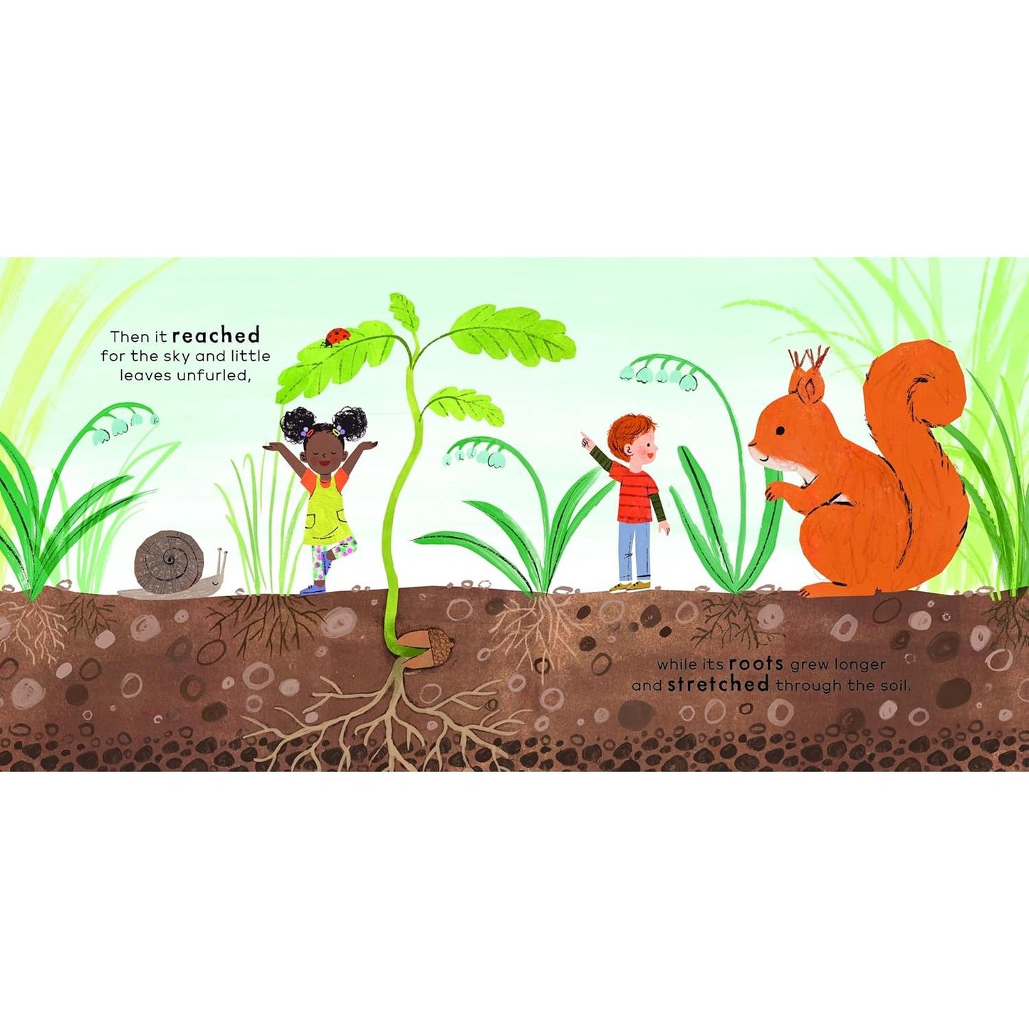 University of Cambridge: Teeny Tiny Science: I See a Tree | Paperback | Children's Book on Nature