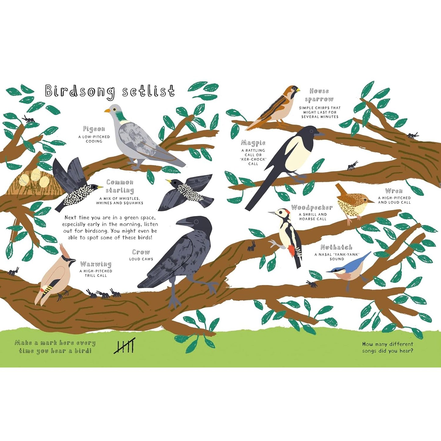 National Trust: Rewild This Book - A nature activity book that can be planted! | Paperback | Children's Book on Nature