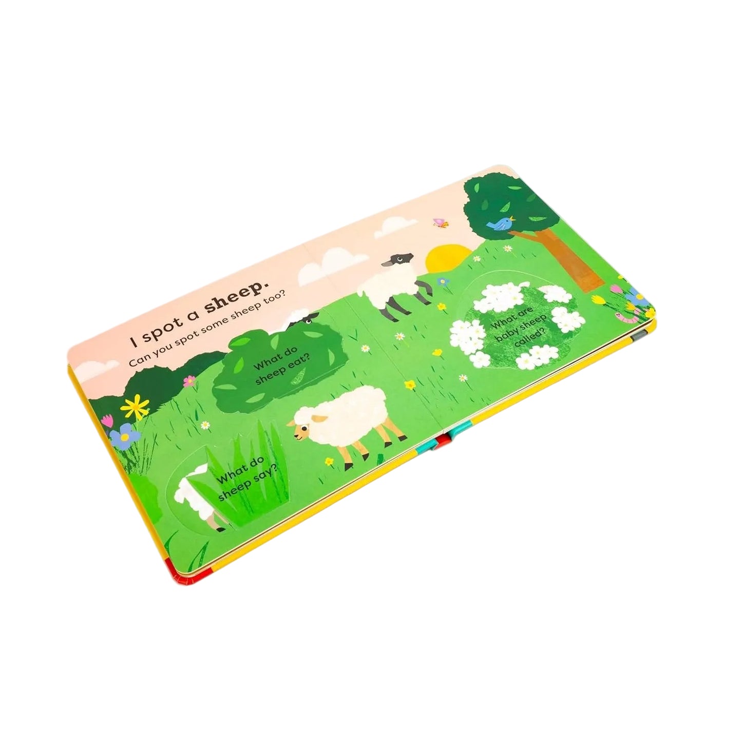 Children's board book with a sheep illustration on a white background