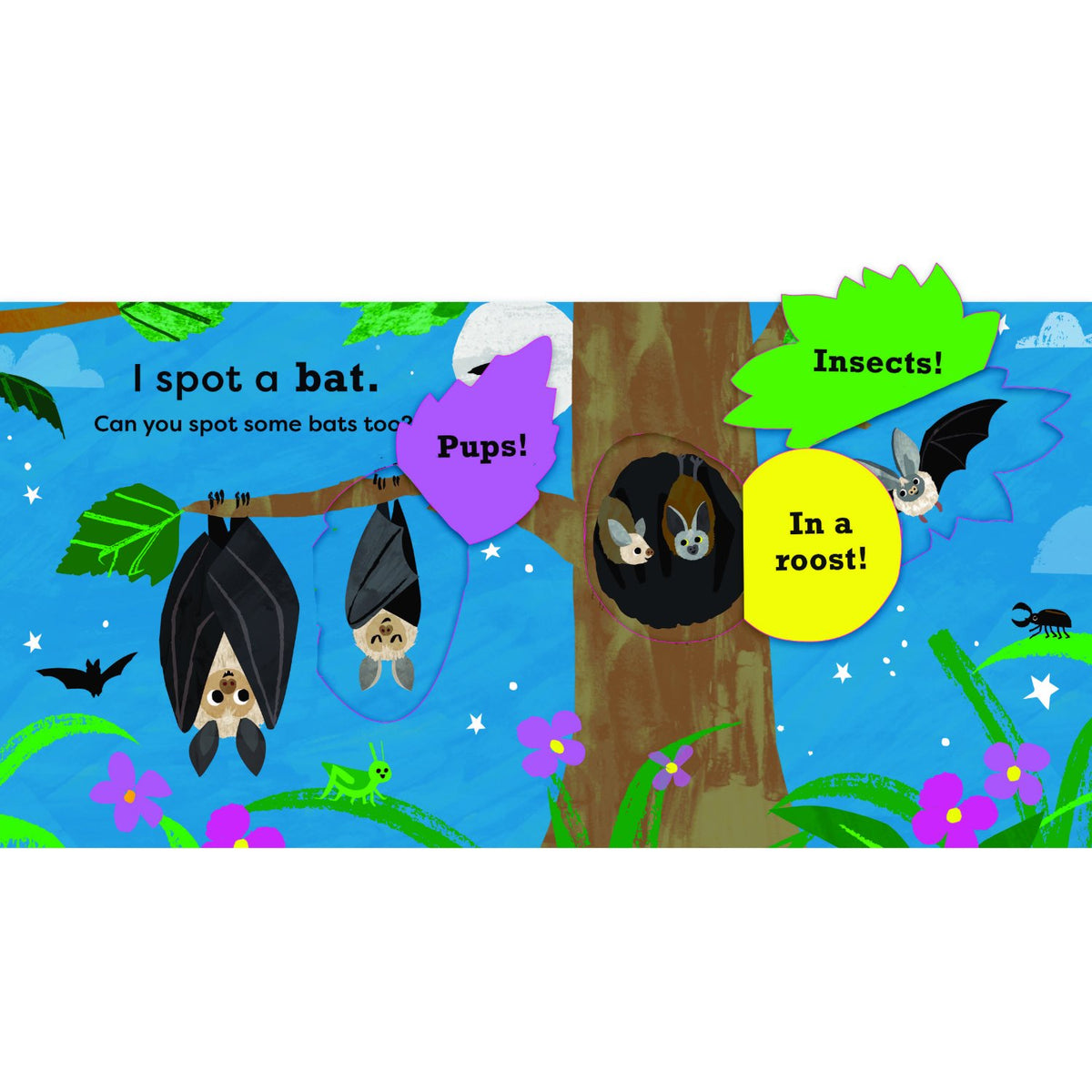 Sample pages (4) from 'National Trust: My Very First Spotter's Guide: I Spot A Bat' by Kay Vincent - toddler board book