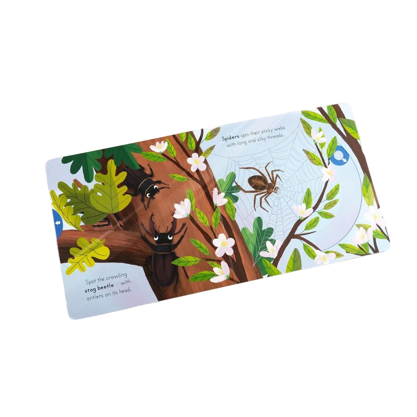 Big Outdoors for Little Explorers: Minibeasts | Board Book | Children's Book on Animals