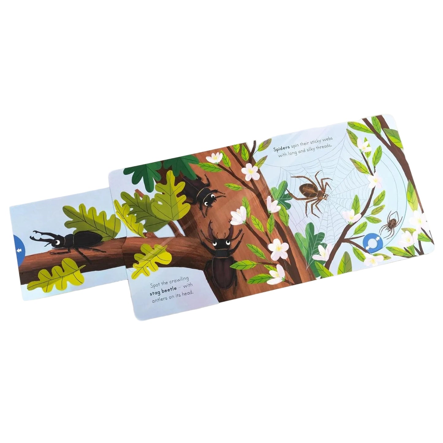 Big Outdoors for Little Explorers: Minibeasts | Board Book | Children's Book on Animals