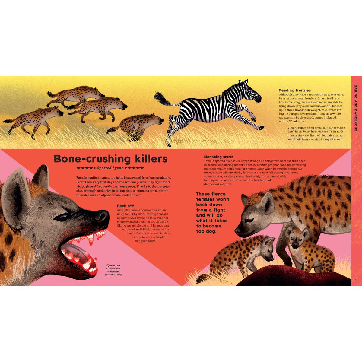Sample pages (3) from 'University of Cambridge: The Anim…' by Catherine Blackledge and Kasia Bogdanska - children's hardcover