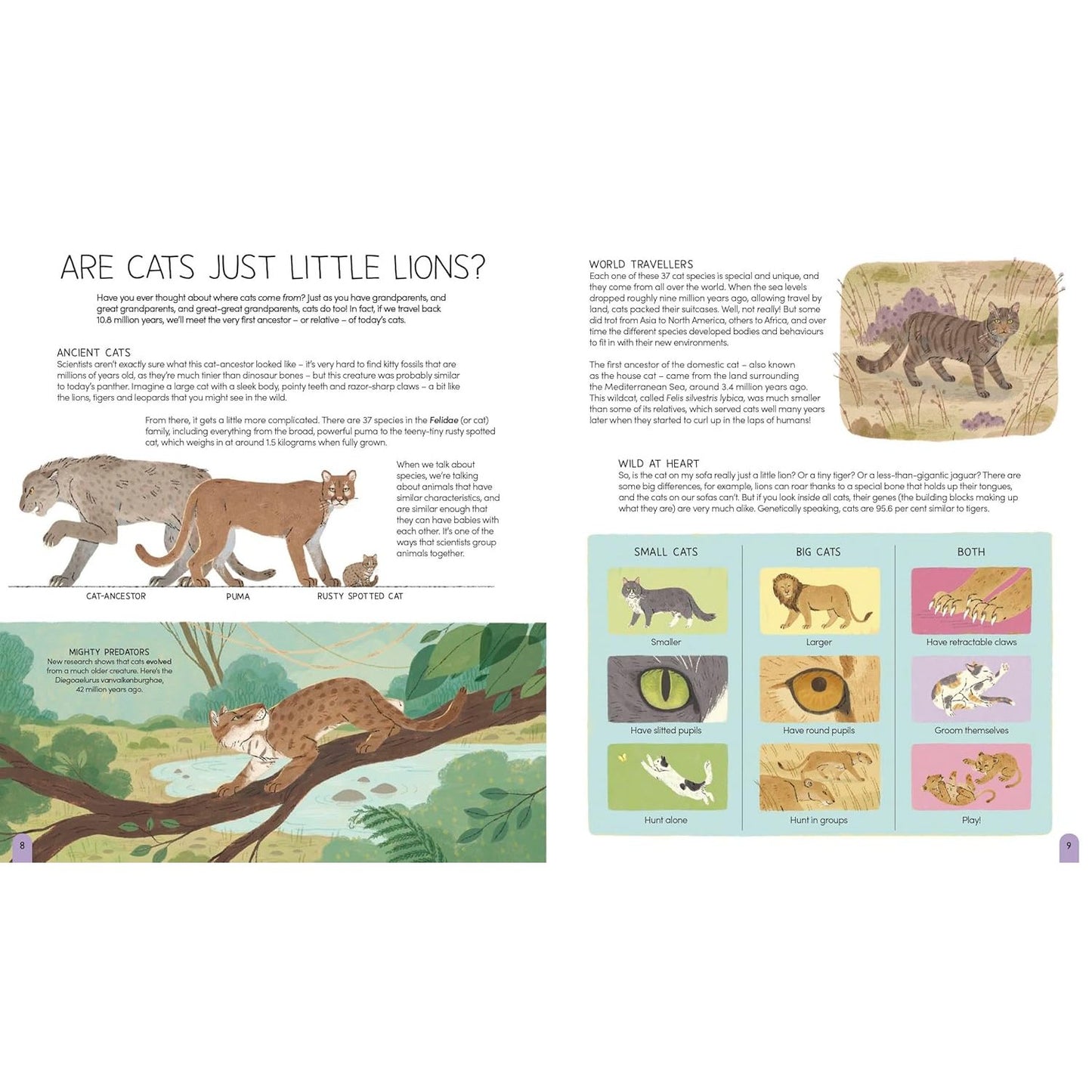 World of Cats - Facts & Real-Life Stories for Cat Lovers | Hardcover | Children's Book on Animals