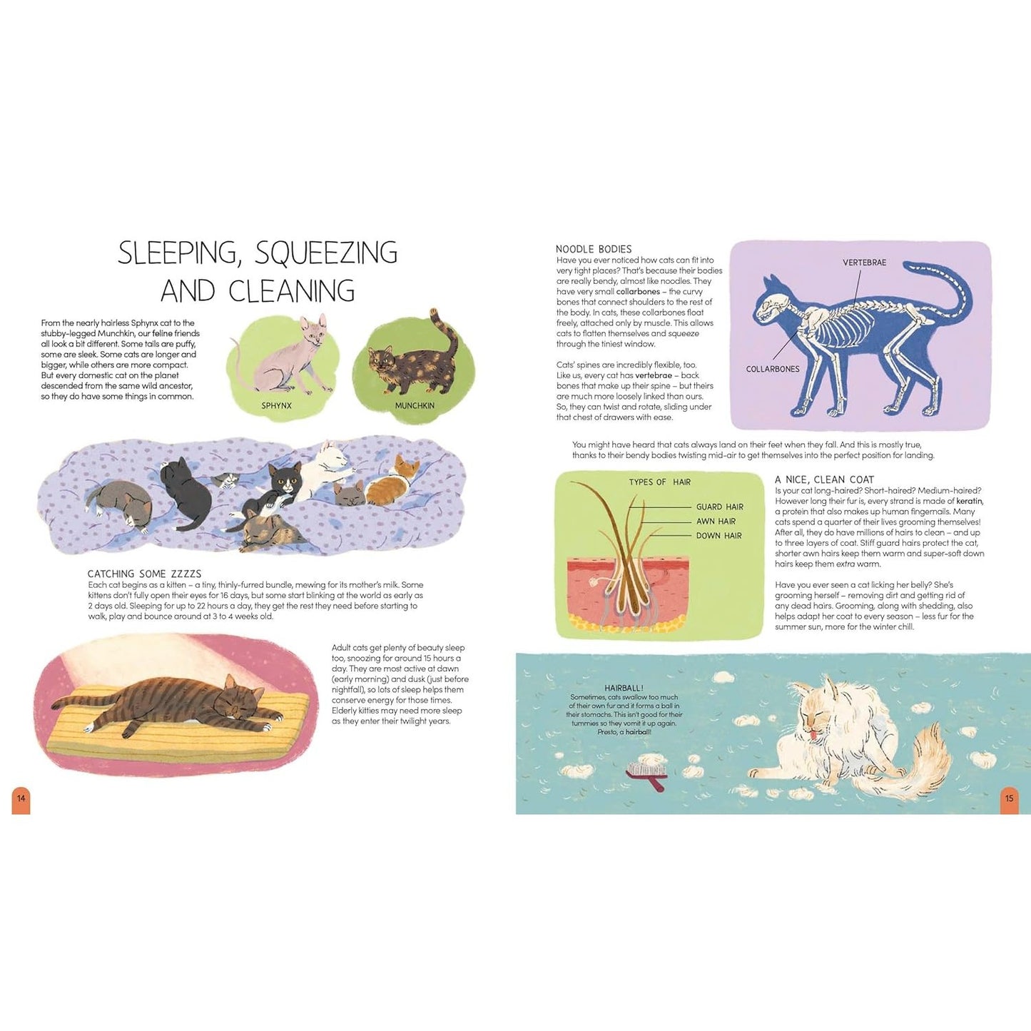 World of Cats - Facts & Real-Life Stories for Cat Lovers | Hardcover | Children's Book on Animals