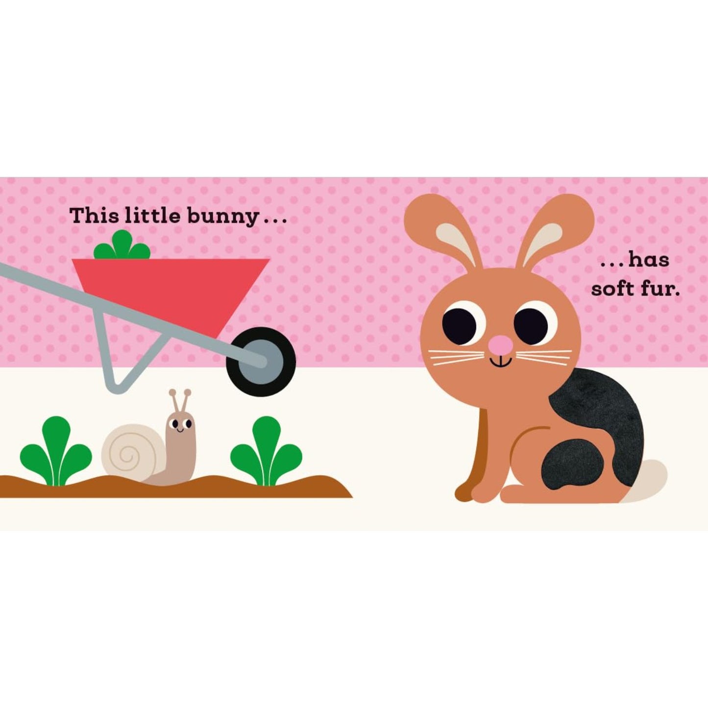 This Little Bunny - A Touch and Feel Book | Interactive Board Book for Babies & Toddlers