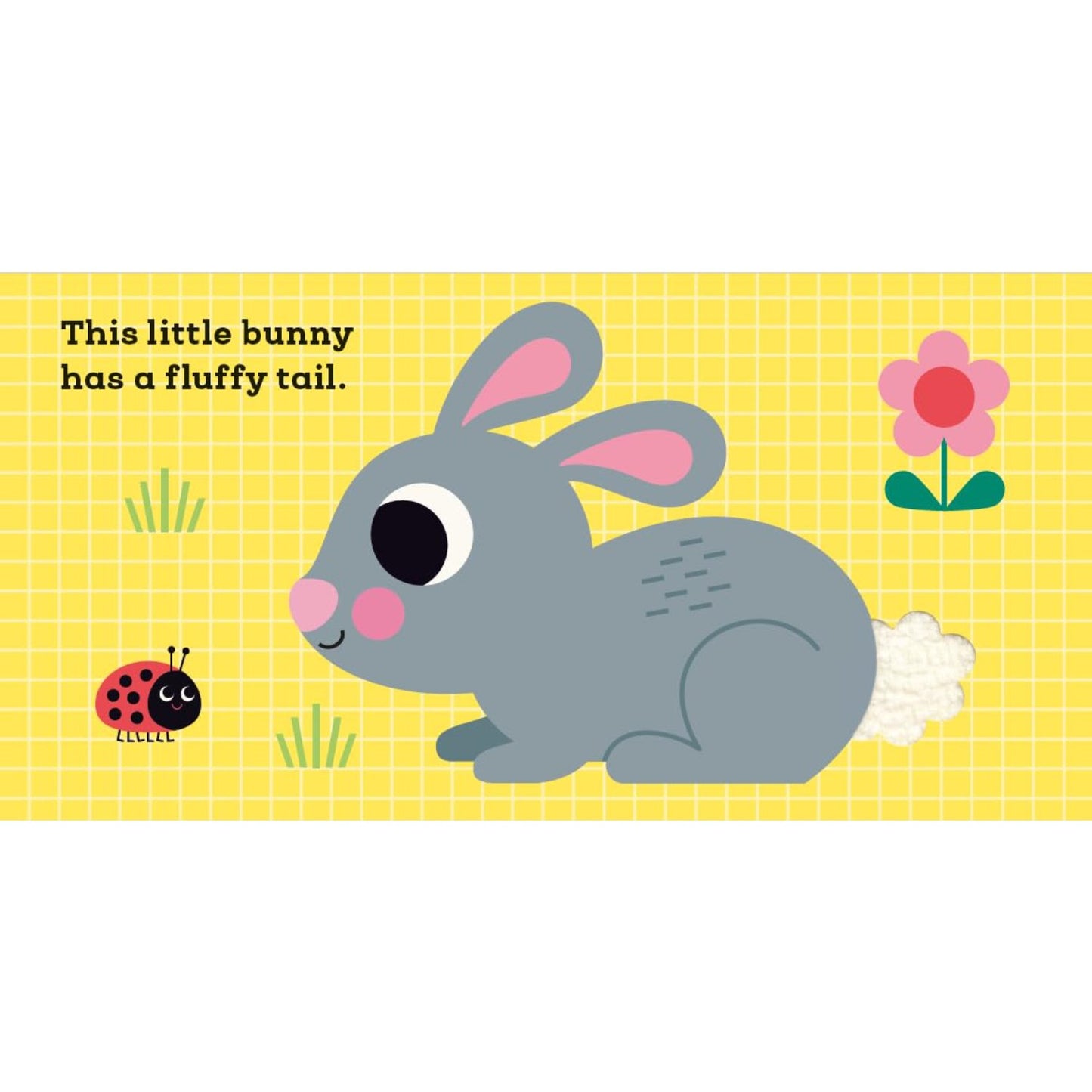 This Little Bunny - A Touch and Feel Book | Interactive Board Book for Babies & Toddlers