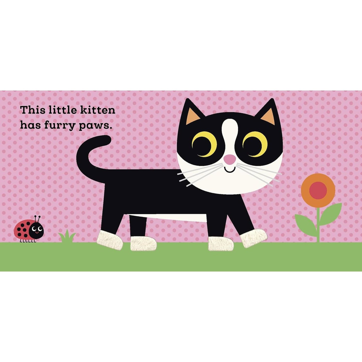 This Little Kitten - A Touch and Feel Book | Interactive Board Book for Babies & Toddlers