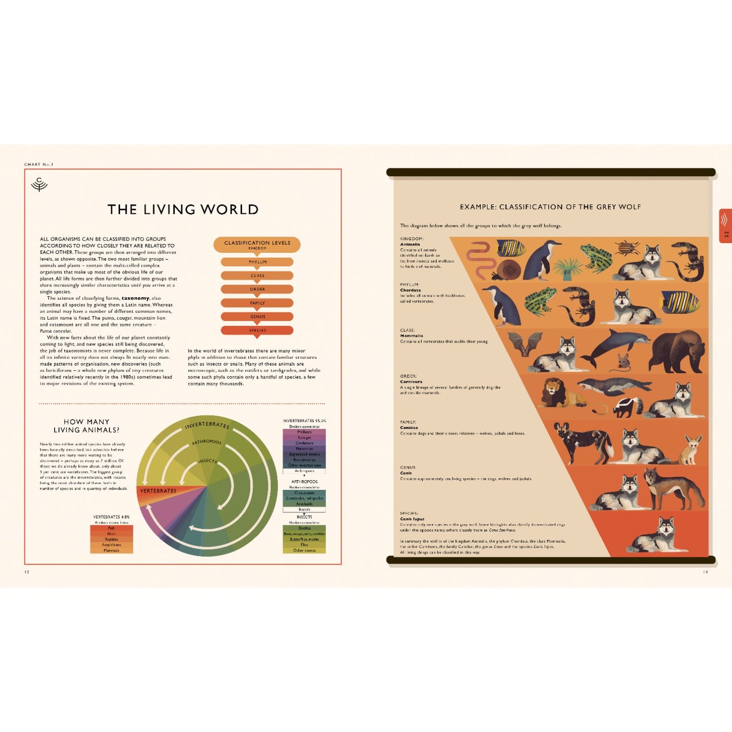 Curiositree: Natural World - A Visual Compendium of Wonders from Nature | Paperback | Children's Book on Nature & Environment