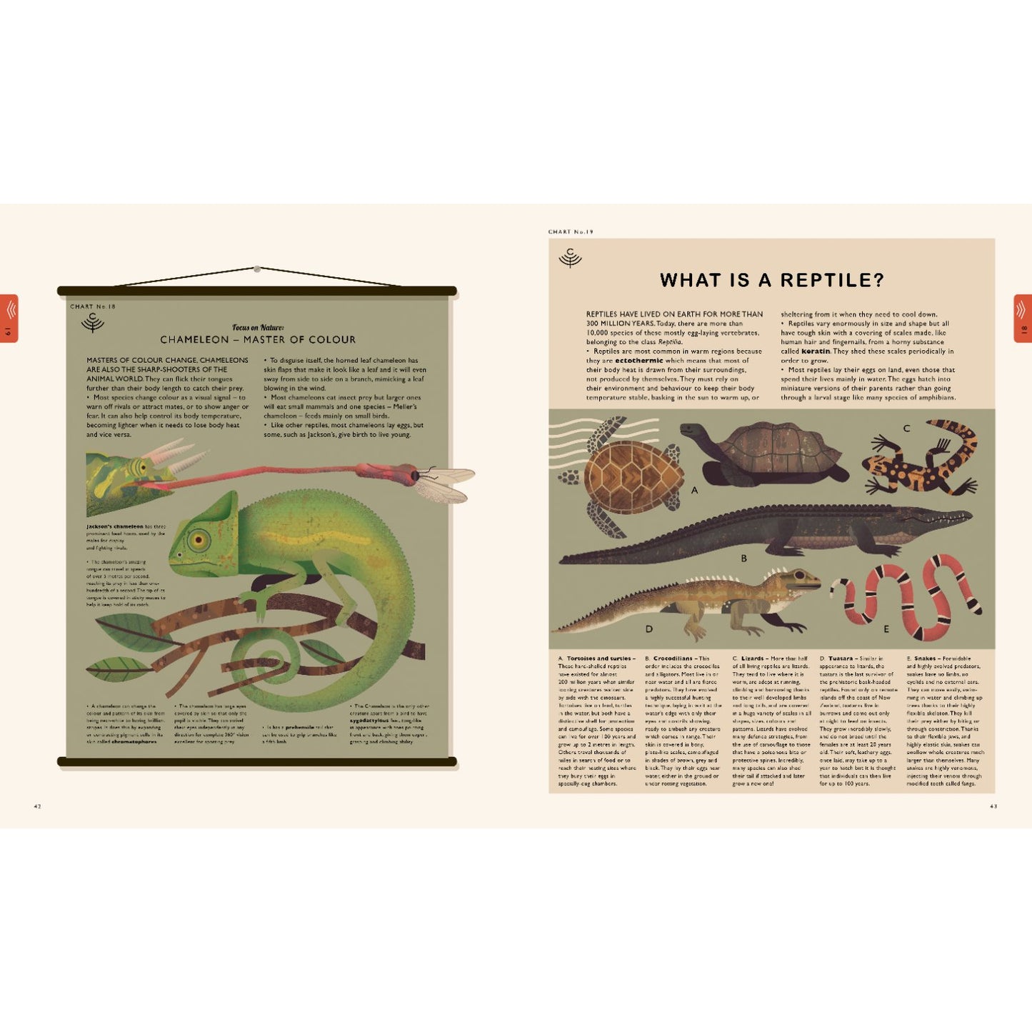 Curiositree: Natural World - A Visual Compendium of Wonders from Nature | Paperback | Children's Book on Nature & Environment