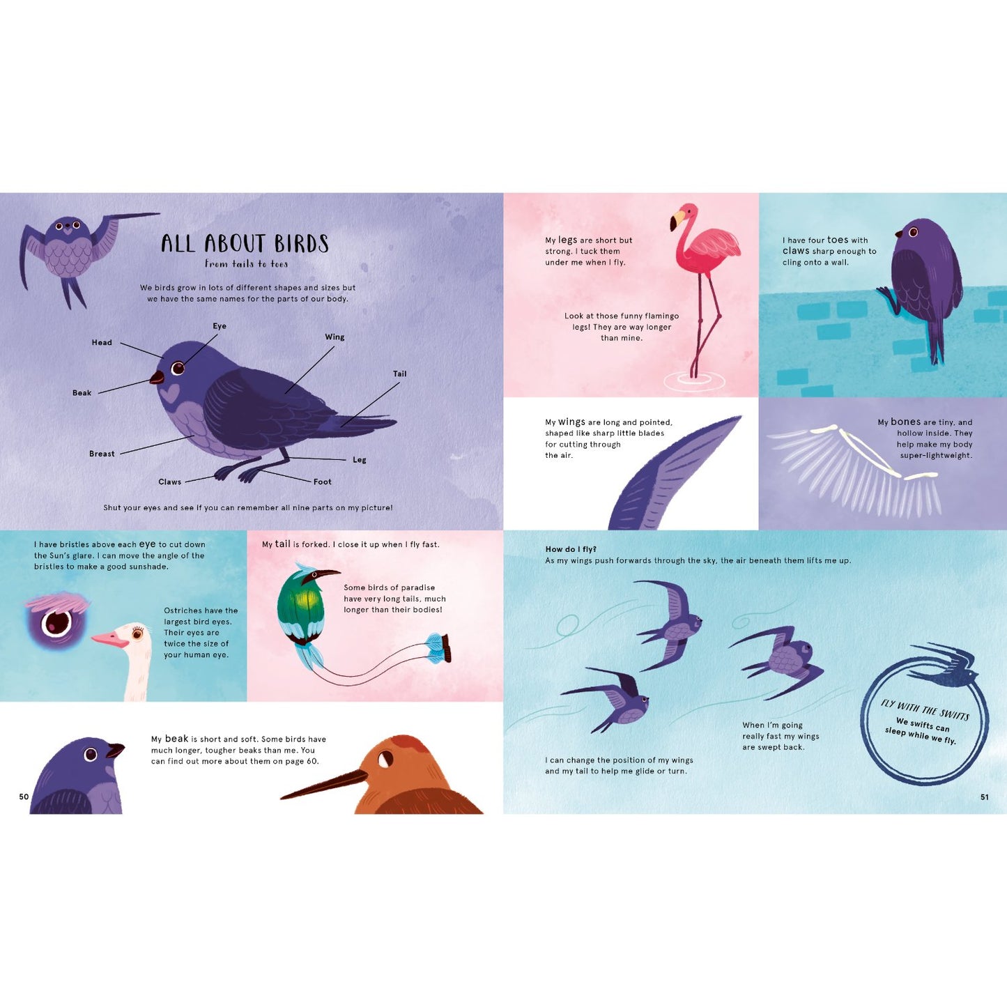 Secret Life of Clouds, Birds & Oceans | Paperback | Children's Book on Nature & Environment