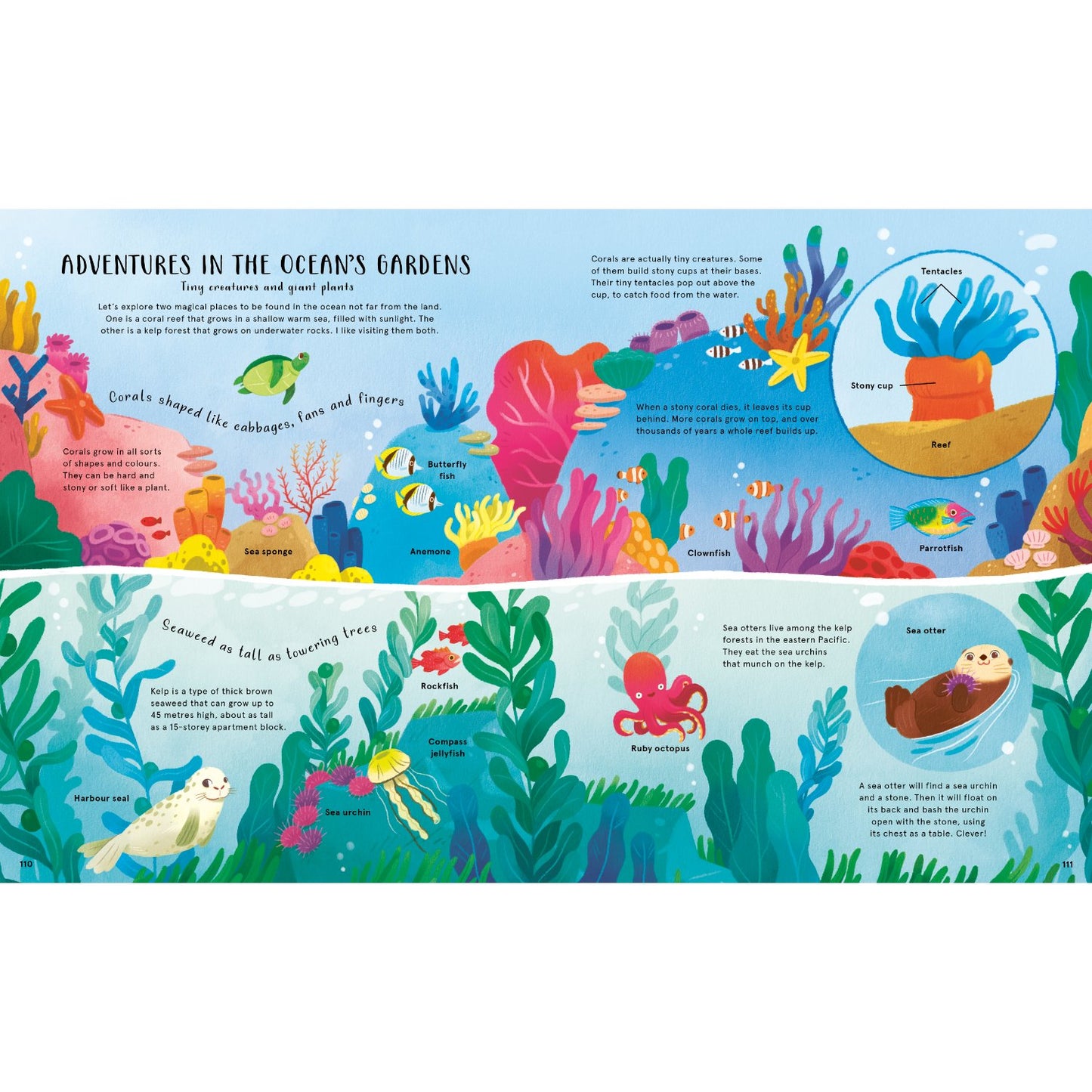 Secret Life of Clouds, Birds & Oceans | Paperback | Children's Book on Nature & Environment