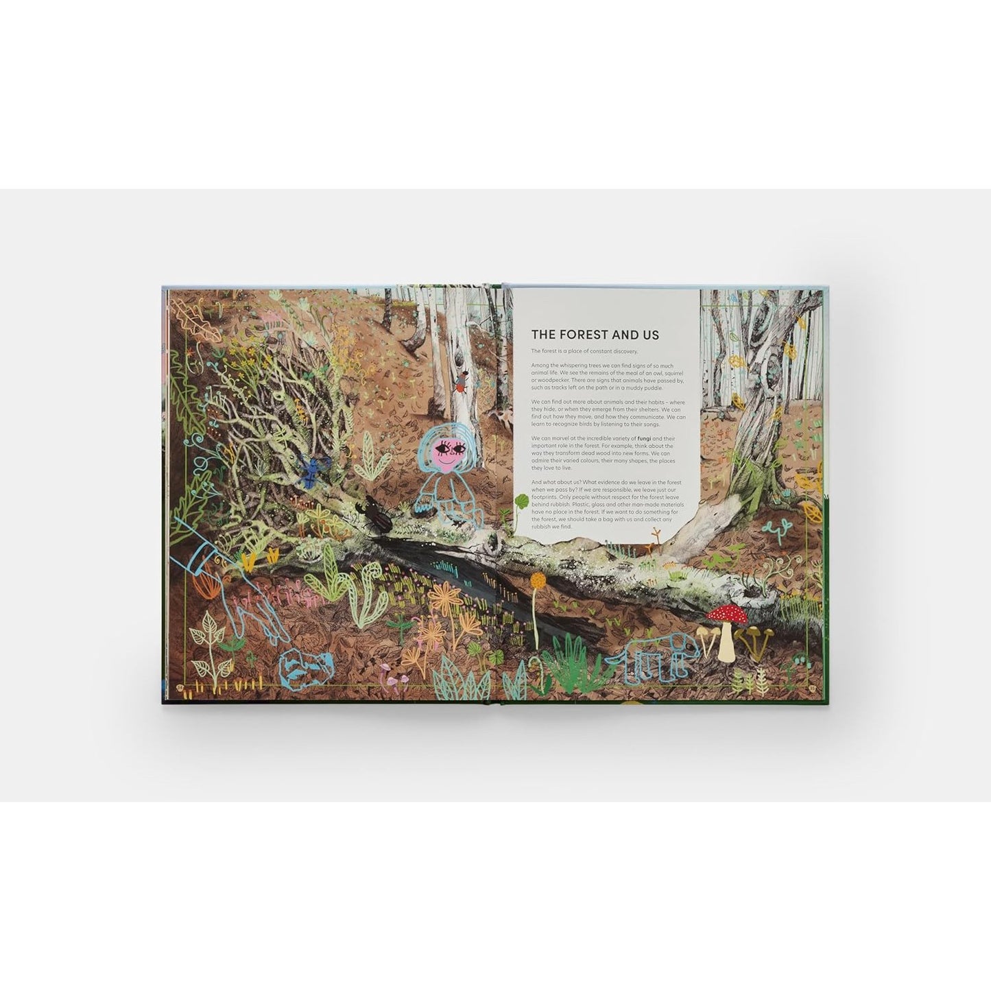Tomorrow Tree - How Nature Creates New Life From Old | Hardcover | Children's Book on Nature