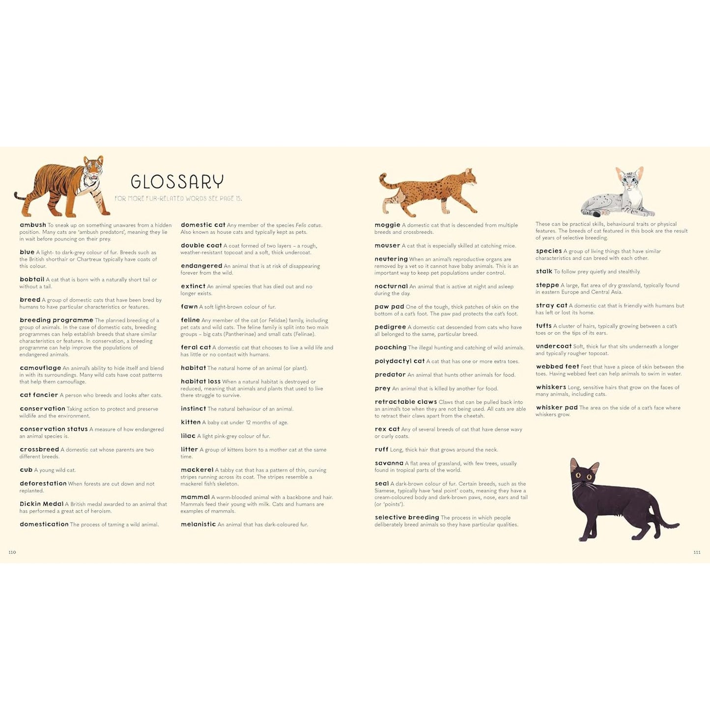 Lonely Planet Kids Atlas of Cats - Discover 100 Amazing Domestic & Wild Cat Breeds Global Origins | Hardcover | Children's Book