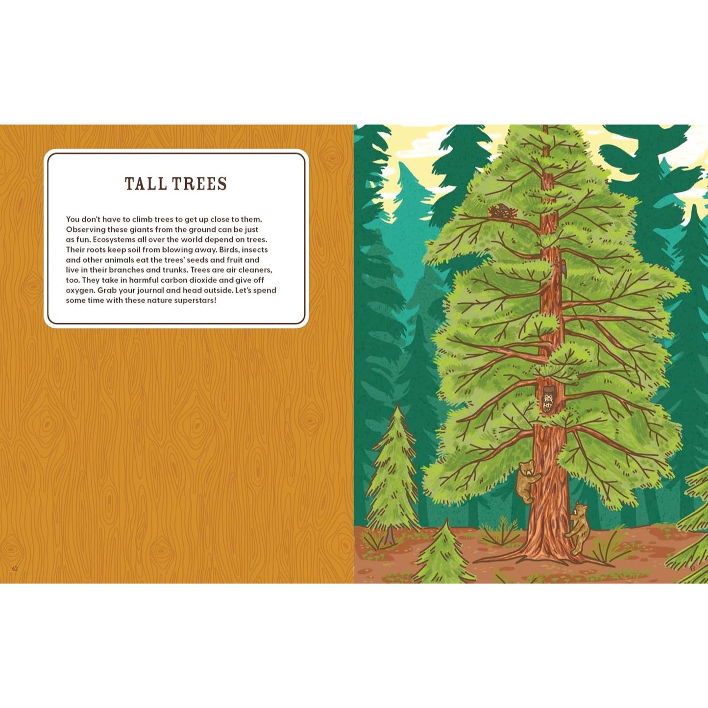 Lonely Planet Kids Explorer's Nature Journal - A Guide to Discovery, Creativity & Outdoor Adventure! | Paperback | Children's Book on Nature