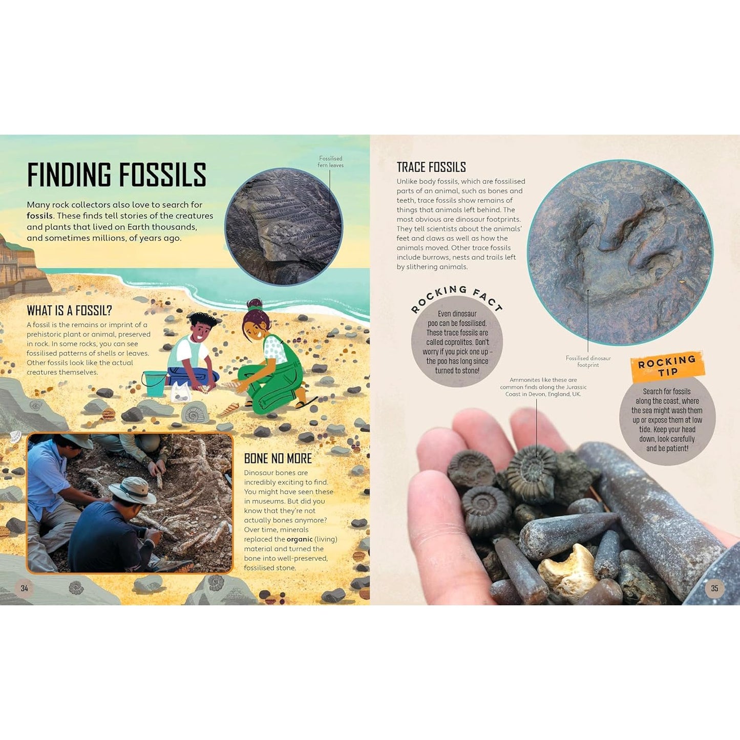 Lonely Planet Kids Let's Go Rock Collecting | Paperback | Children's Book on Nature