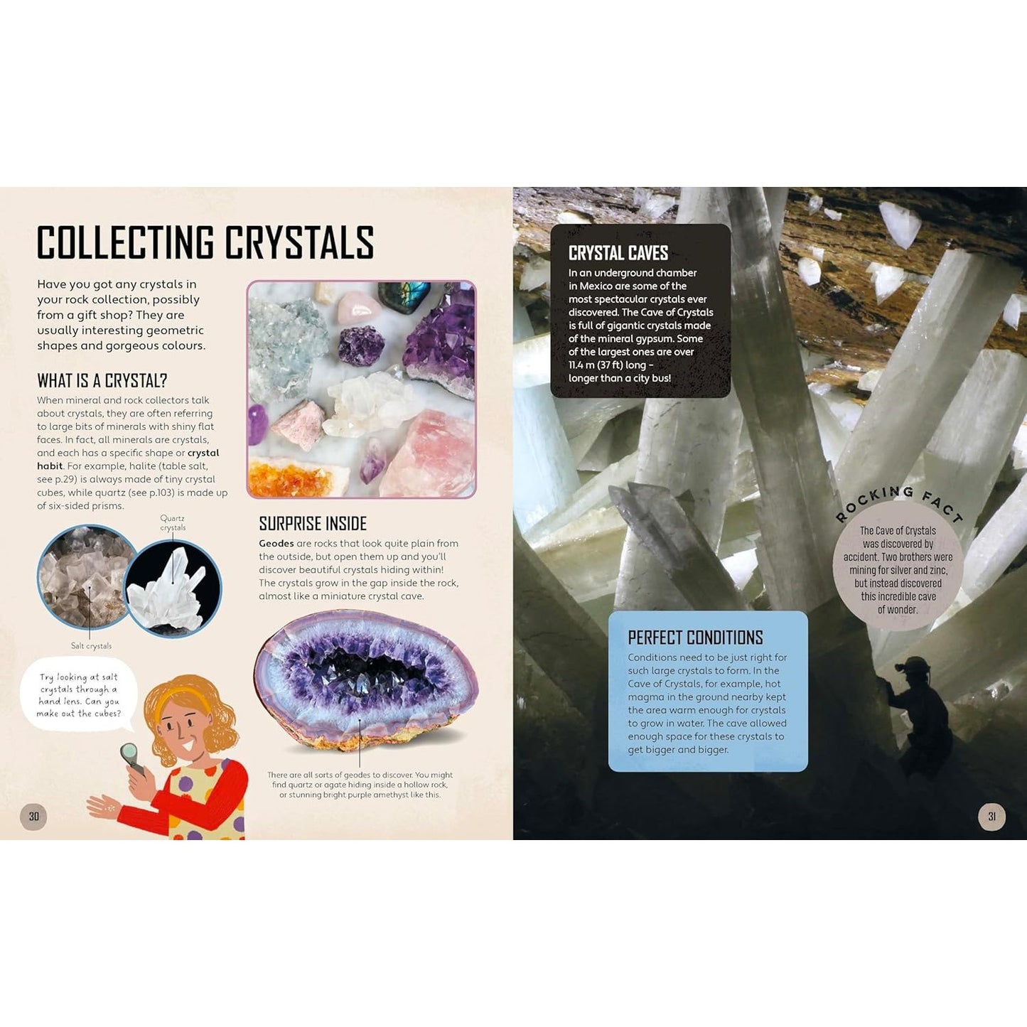 Lonely Planet Kids Let's Go Rock Collecting | Paperback | Children's Book on Nature