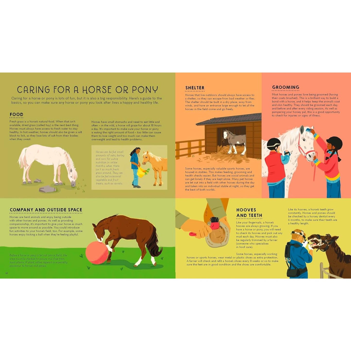 Lonely Planet Kids Atlas of Horses and Ponies | Hardcover | Children's Book