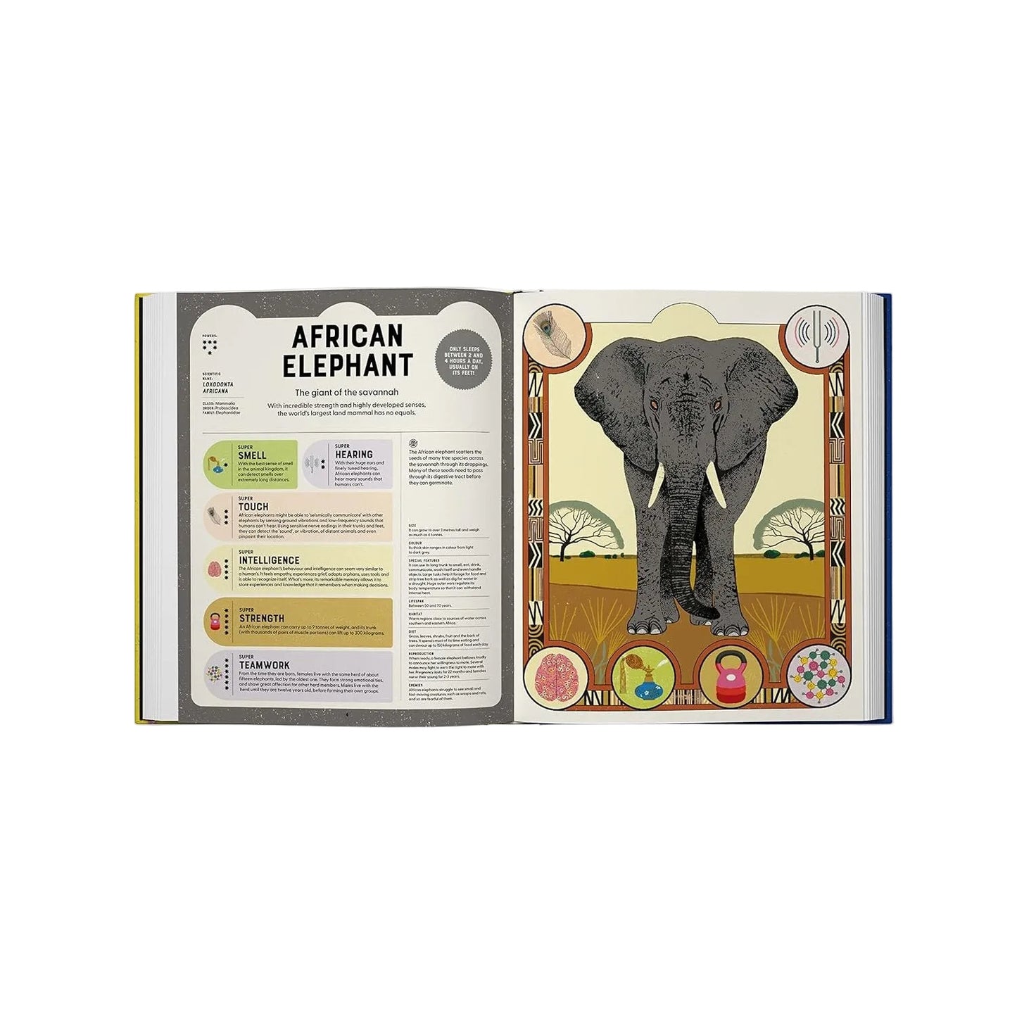 Open book showing an illustration of an African elephant with descriptive text on a white background