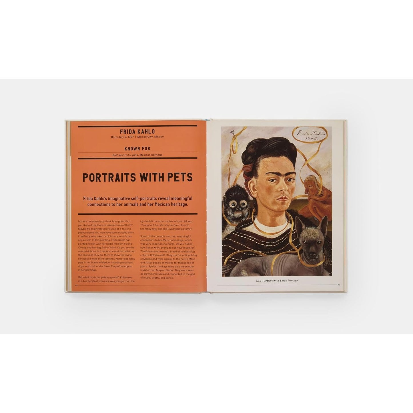 Art Book for Children | Hardcover | Children's Book on Arts