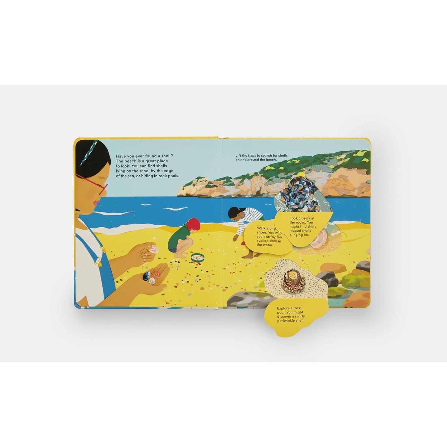 Shells... and what they hide inside - A Lift-the-Flap Adventure | Board Book | Children's Book