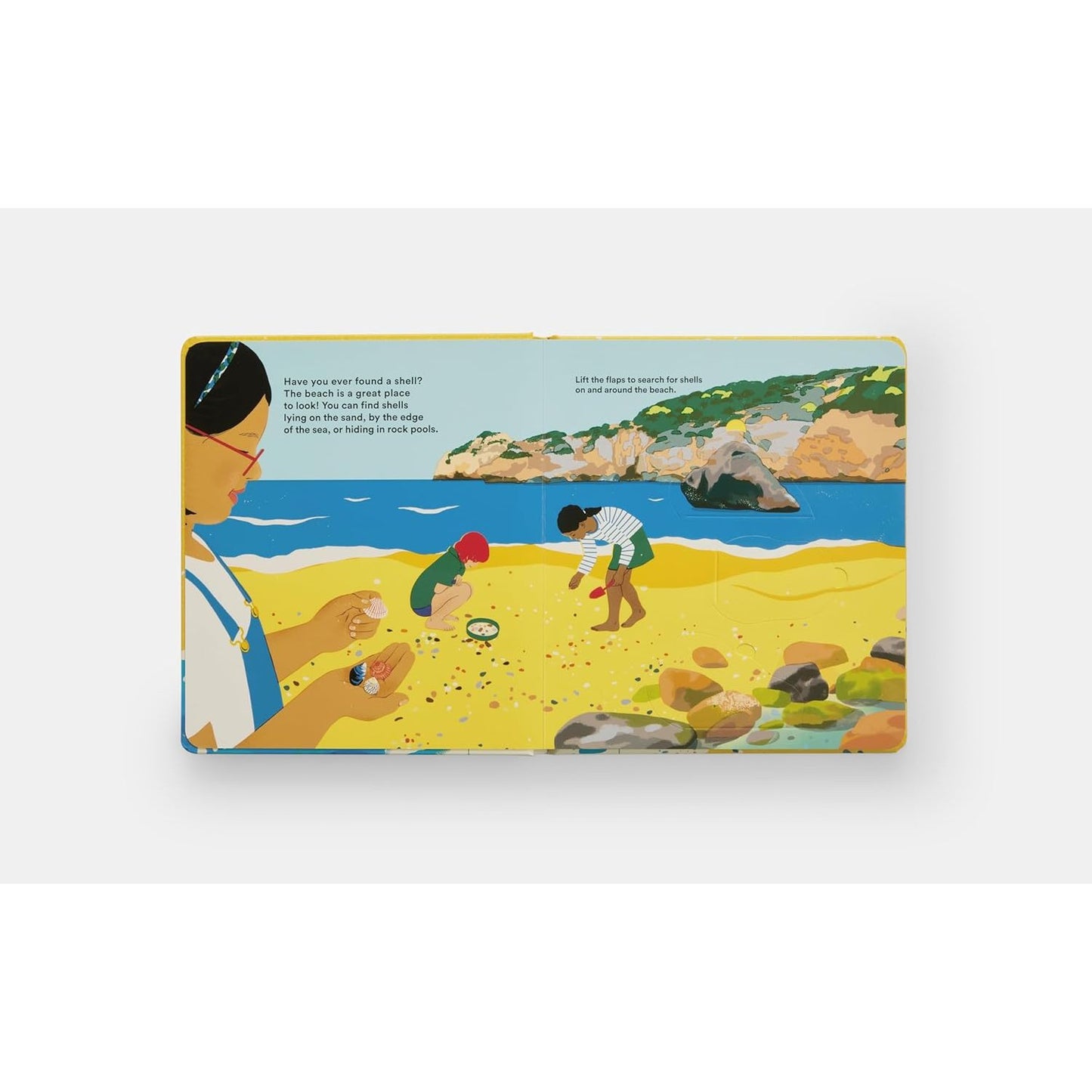 Shells... and what they hide inside - A Lift-the-Flap Adventure | Board Book | Children's Book