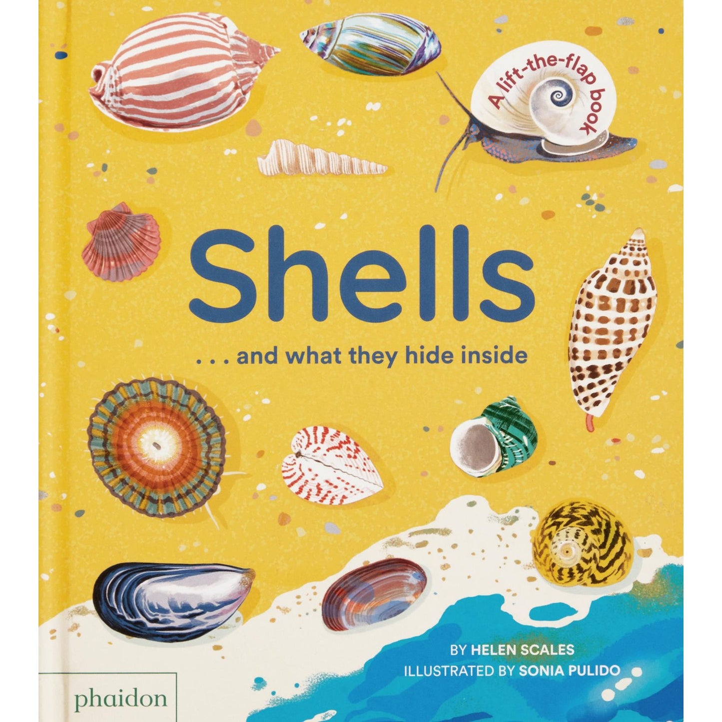 Book cover of 'Shells...and what they hide inside' with colorful shell illustrations on a yellow background.